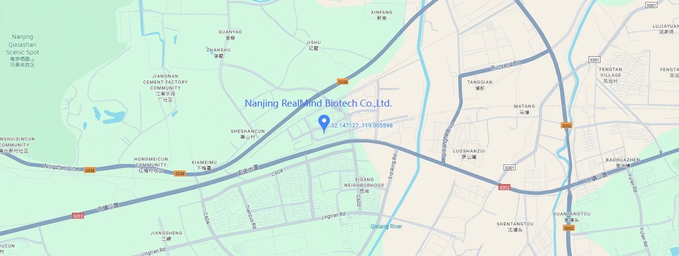 地图